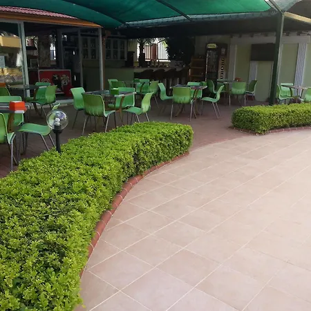 Summer Rose סייד