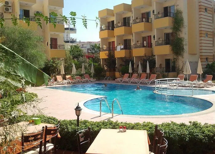 Summer Rose سيدي