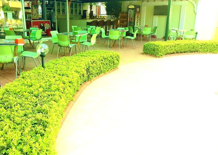 Summer Rose سيدي