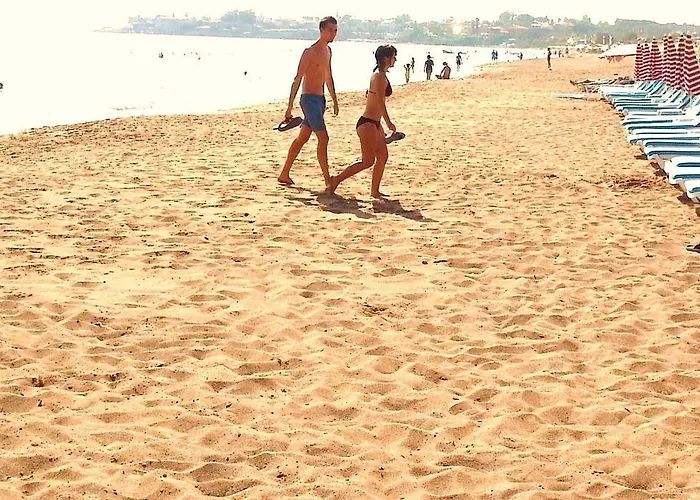 Summer Rose فندق