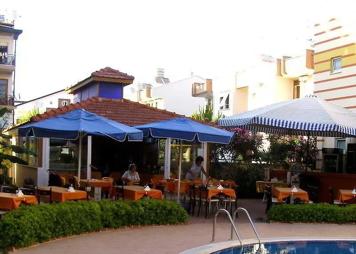 Summer Rose 3* シダ