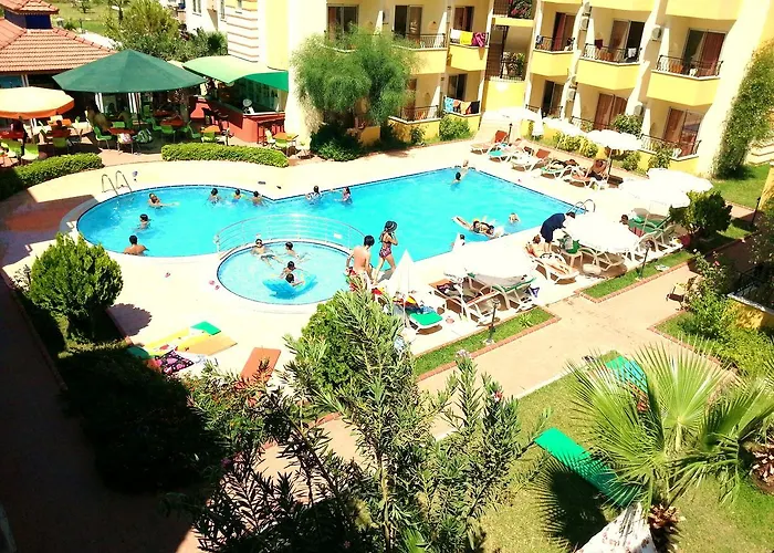 Summer Rose 3* シダ