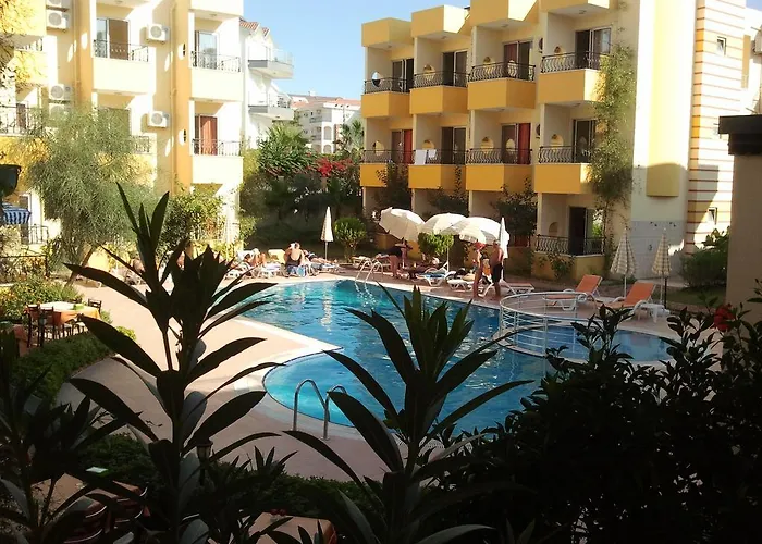 Summer Rose 3* シダ