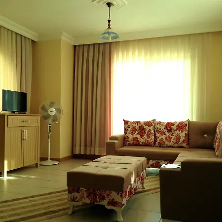 Summer Rose 3* シダ